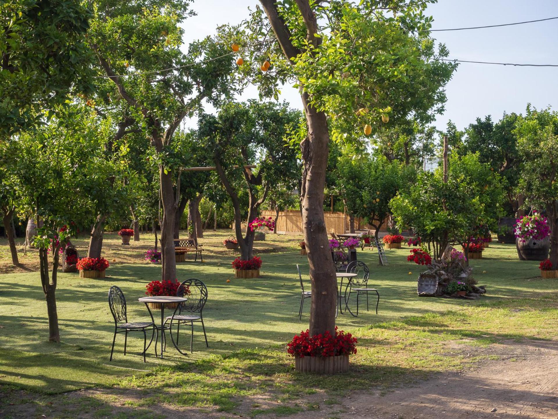 Вілла Giardino Di Nonno Lucio - Surrounded By Lemon Tree П'яно-ді-Сорренто Екстер'єр фото