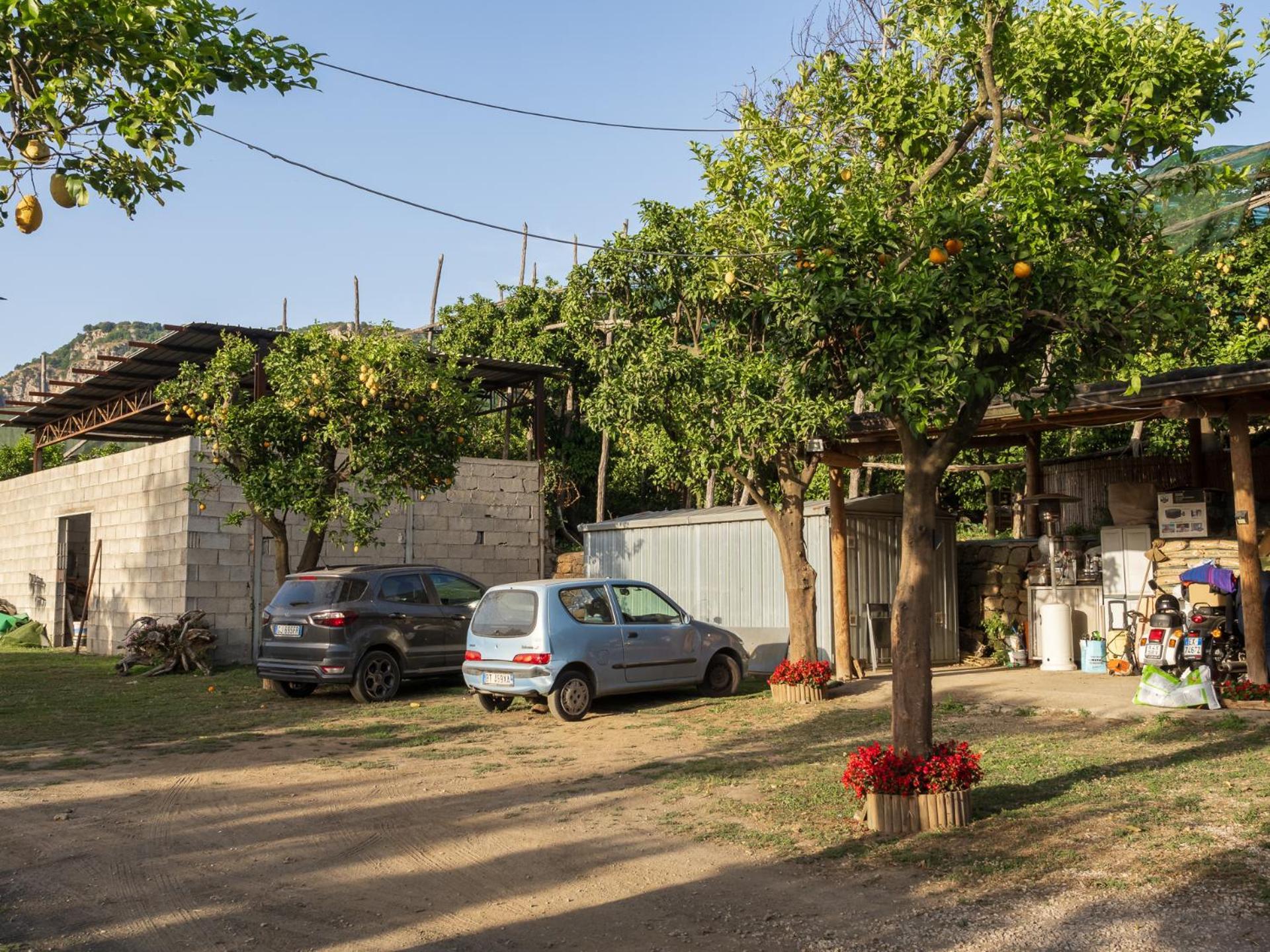 Вілла Giardino Di Nonno Lucio - Surrounded By Lemon Tree П'яно-ді-Сорренто Екстер'єр фото