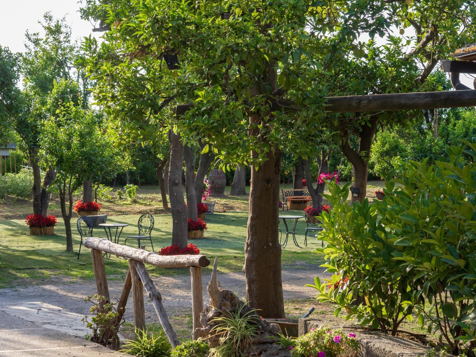 Вілла Giardino Di Nonno Lucio - Surrounded By Lemon Tree П'яно-ді-Сорренто Екстер'єр фото