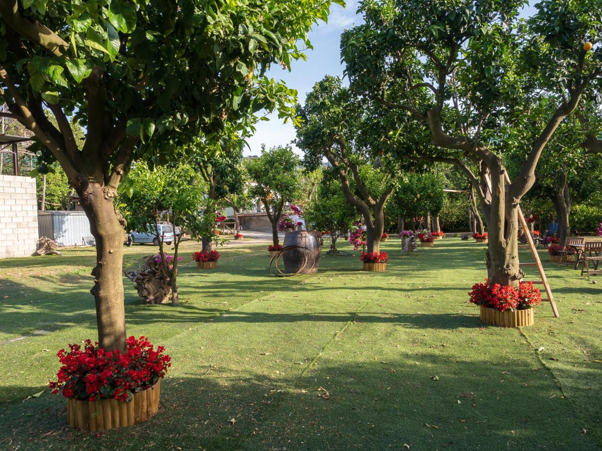 Вілла Giardino Di Nonno Lucio - Surrounded By Lemon Tree П'яно-ді-Сорренто Екстер'єр фото