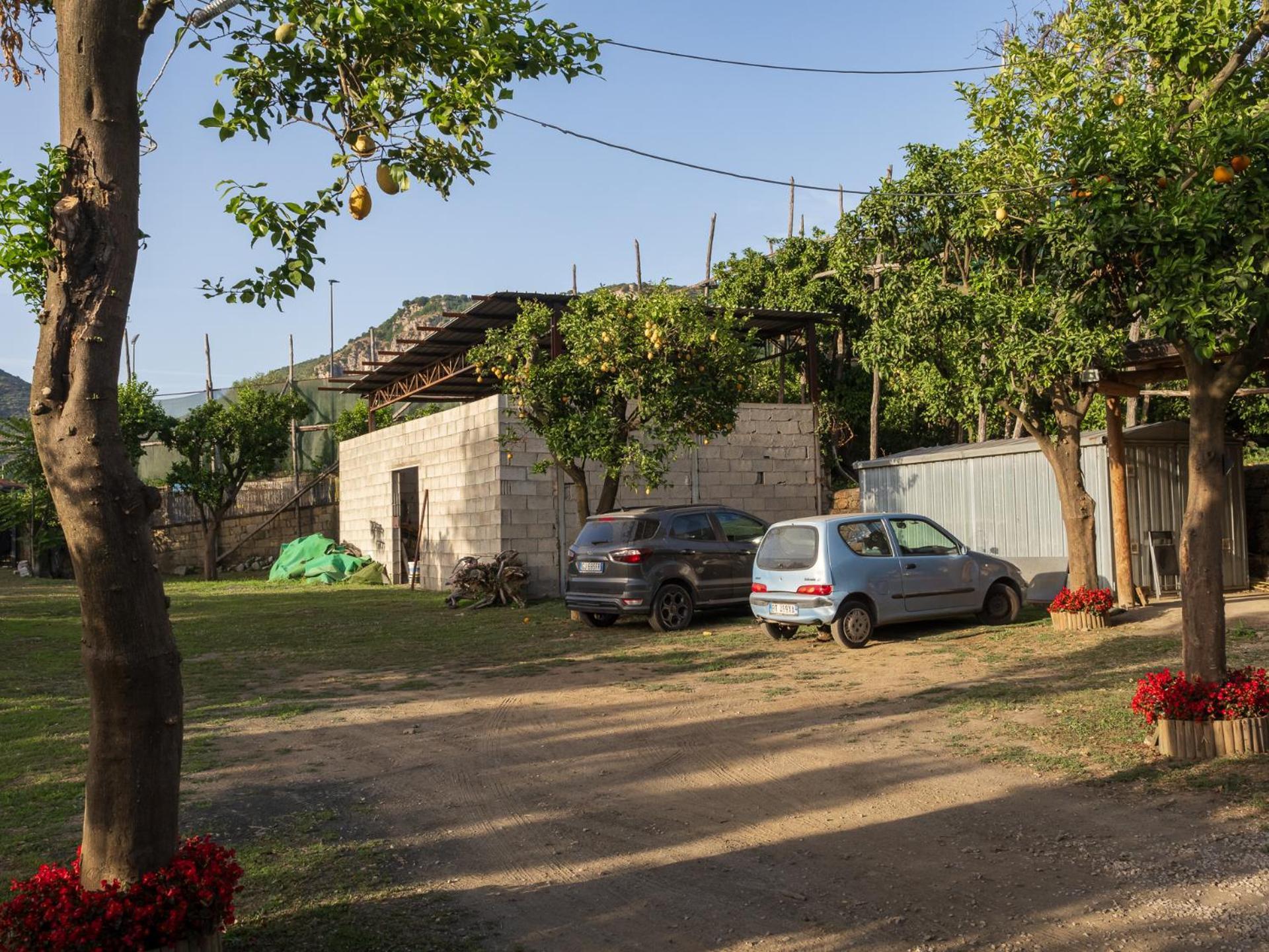 Вілла Giardino Di Nonno Lucio - Surrounded By Lemon Tree П'яно-ді-Сорренто Екстер'єр фото