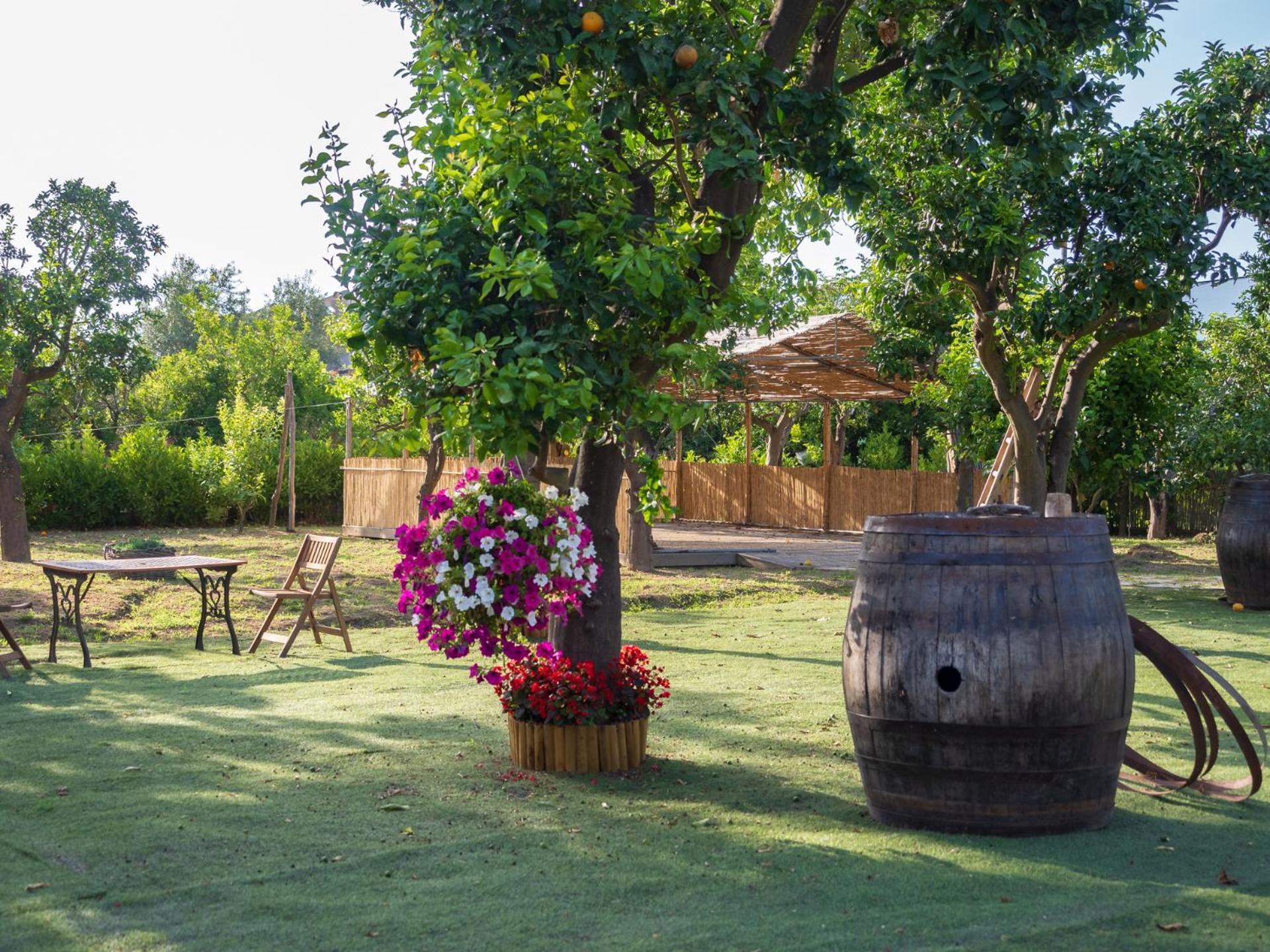 Вілла Giardino Di Nonno Lucio - Surrounded By Lemon Tree П'яно-ді-Сорренто Екстер'єр фото