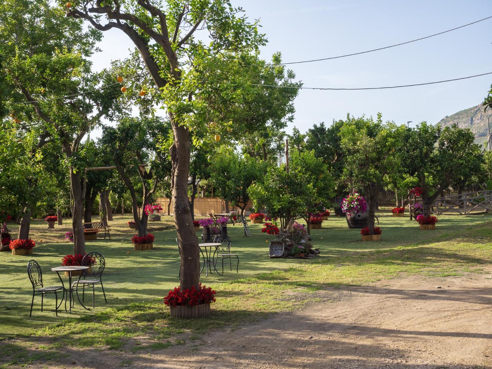 Вілла Giardino Di Nonno Lucio - Surrounded By Lemon Tree П'яно-ді-Сорренто Екстер'єр фото