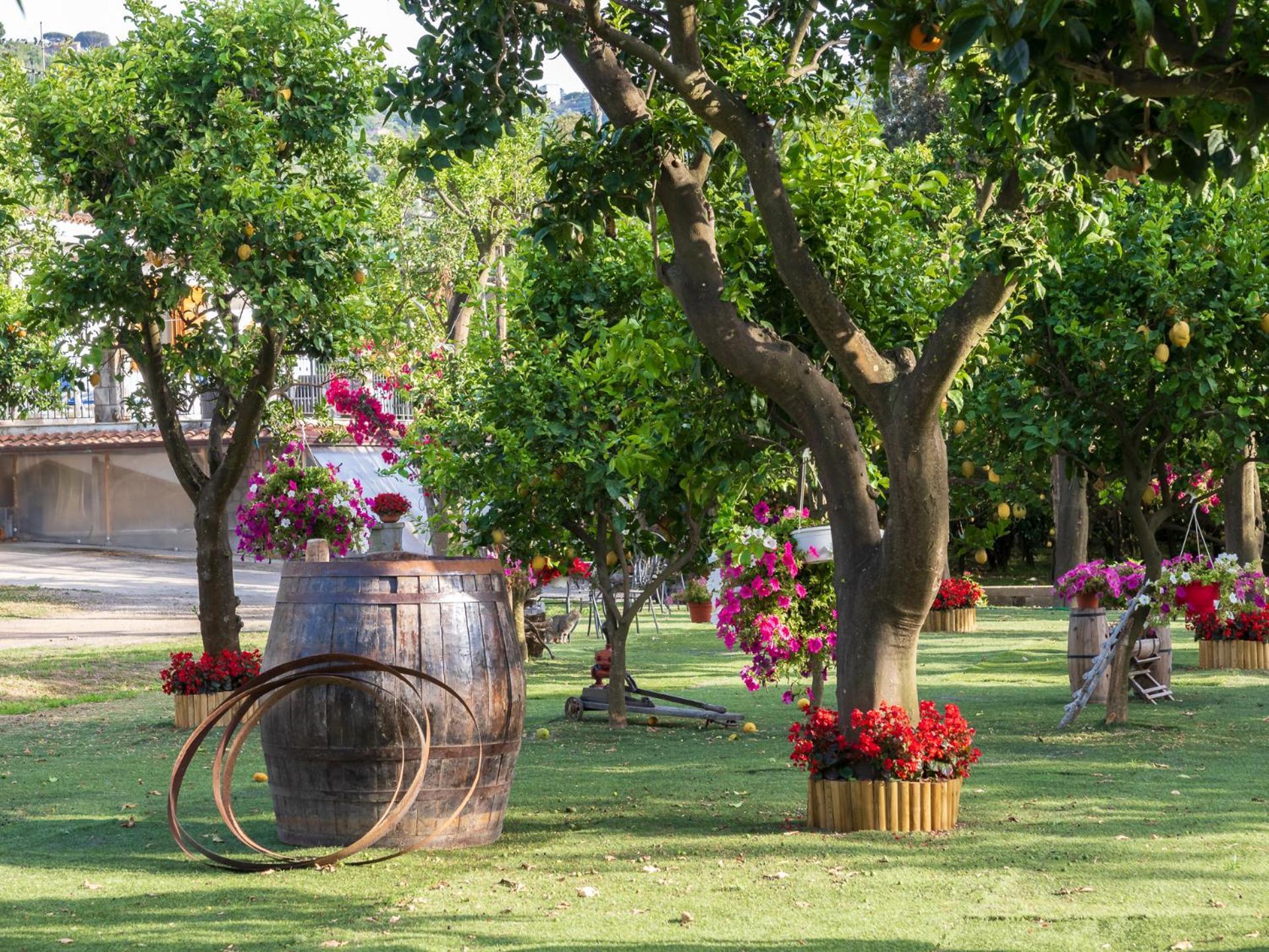 Вілла Giardino Di Nonno Lucio - Surrounded By Lemon Tree П'яно-ді-Сорренто Екстер'єр фото