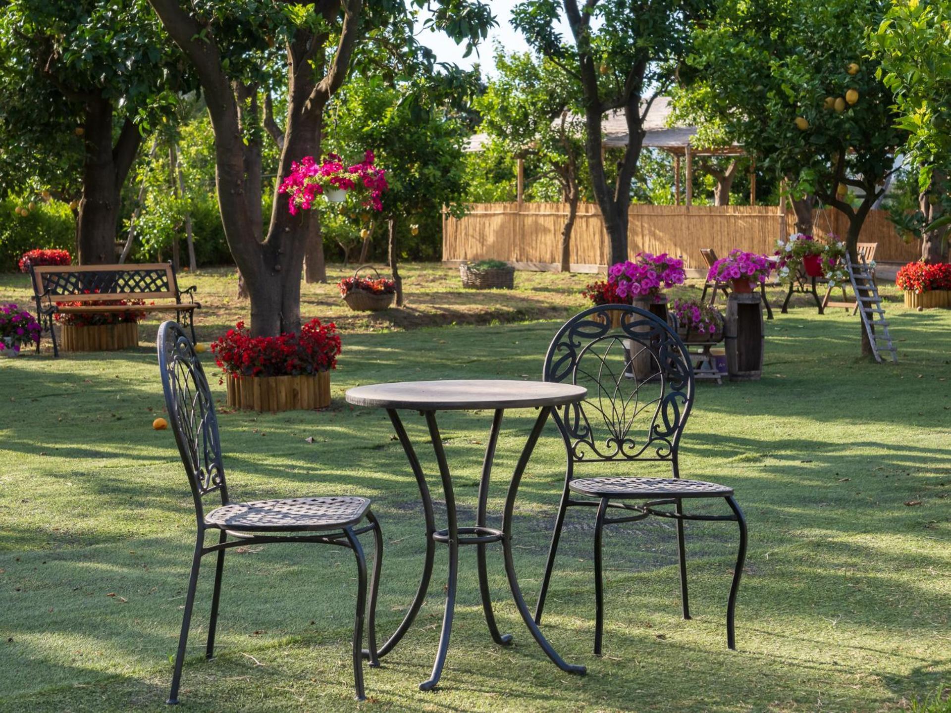 Вілла Giardino Di Nonno Lucio - Surrounded By Lemon Tree П'яно-ді-Сорренто Екстер'єр фото