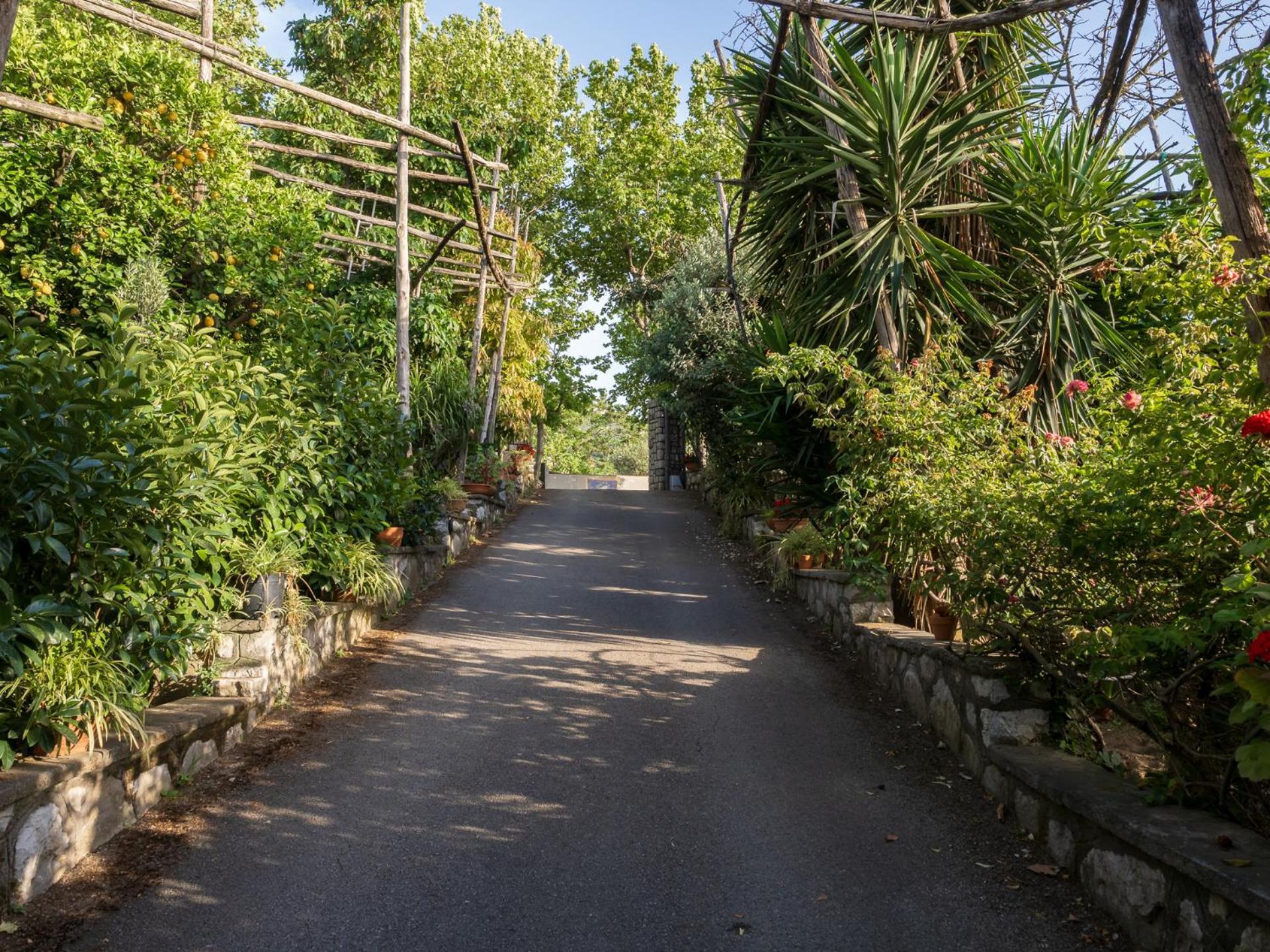 Вілла Giardino Di Nonno Lucio - Surrounded By Lemon Tree П'яно-ді-Сорренто Екстер'єр фото